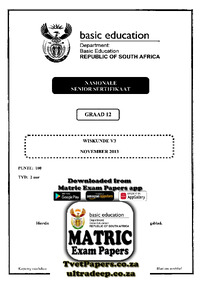 Mathematics P3 Nov 2013 Afr.pdf